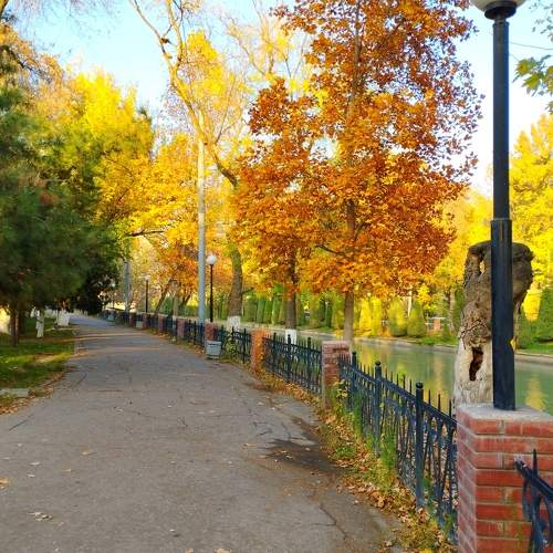 Photo #11211310