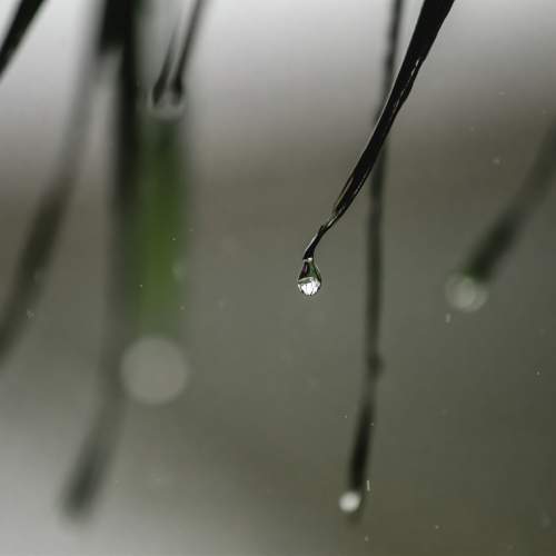 Photo #11211352
