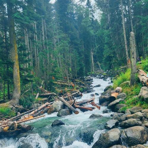Photo #11211430