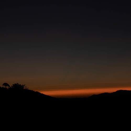 Photo #11211523
