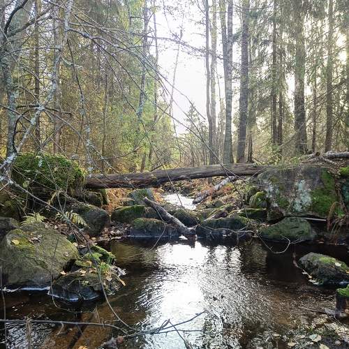 Photo #11211680