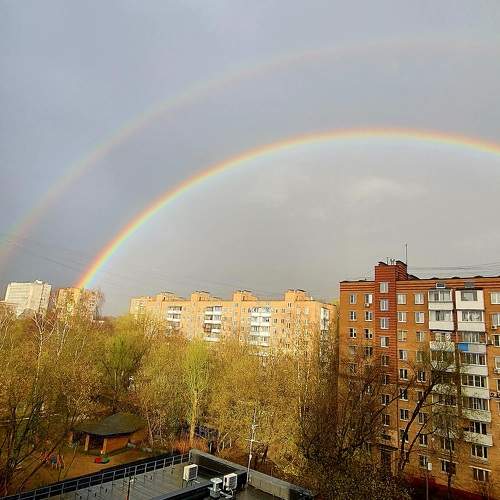 Photo #11211739