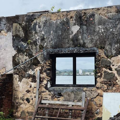Photo #11211791
