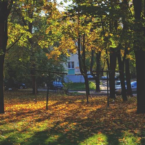 Photo #11211873