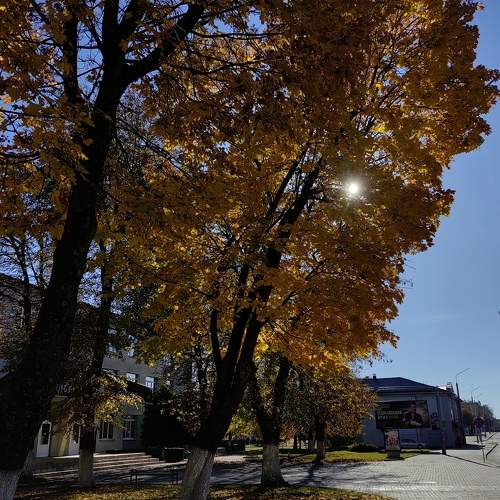 Photo #11212337
