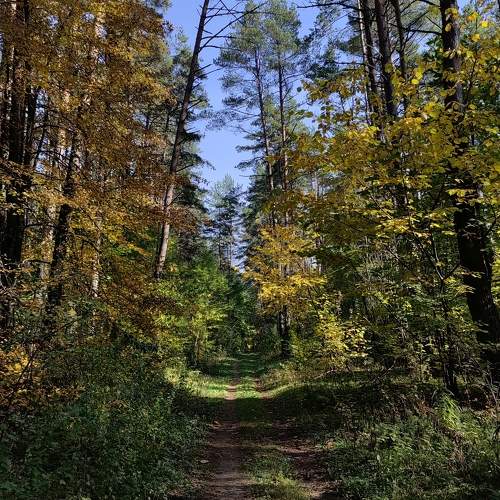 Photo #11212346