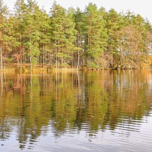 Photo #11212381