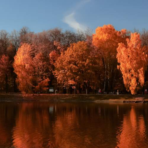 Photo #11212514