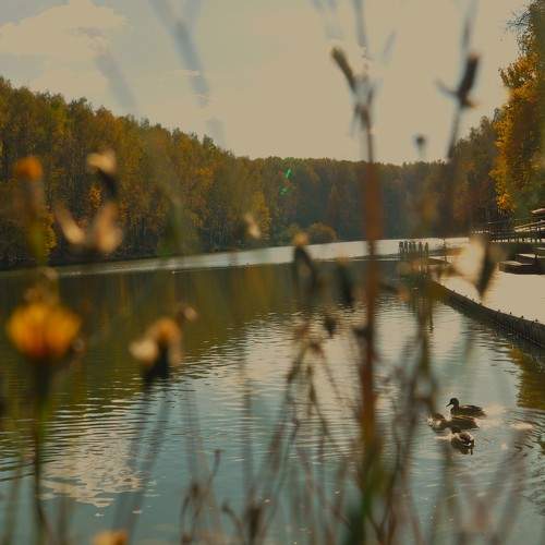 Photo #11212572