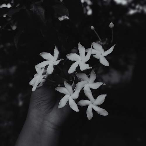 Photo #11212644