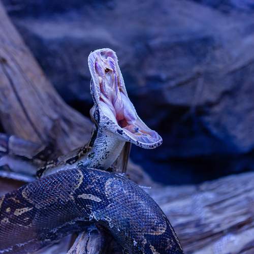 Photo #11212709