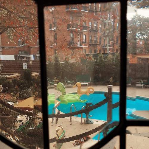 Photo #11212888