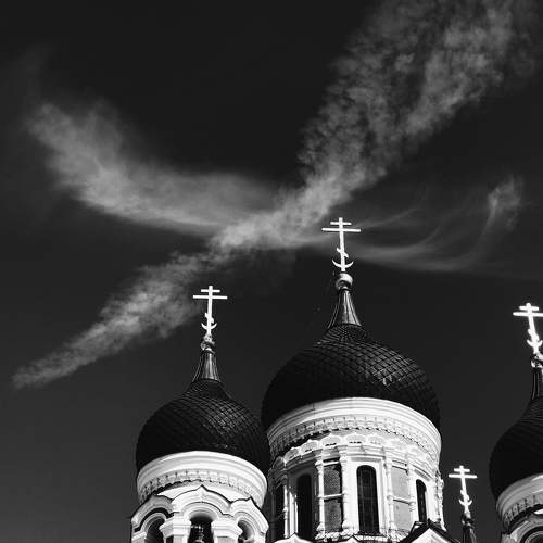 Photo #11212910