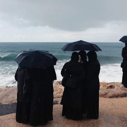 Photo #11212917