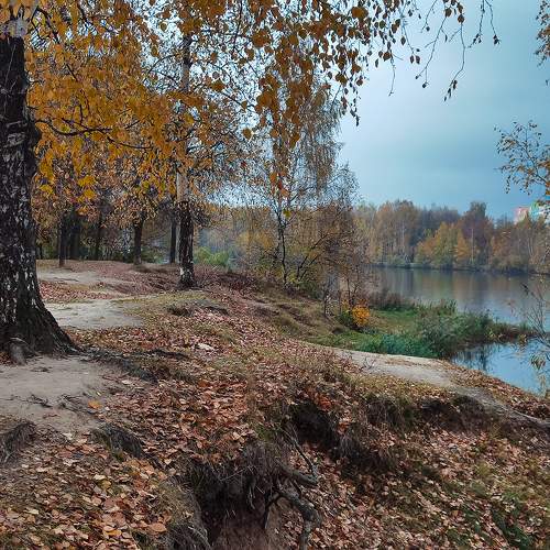 Photo #11213017