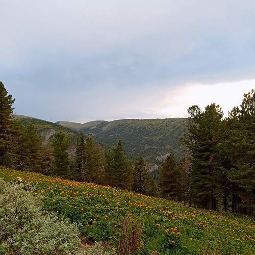 Photo #11213257