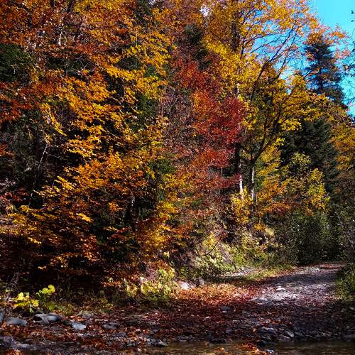 Photo #11213322