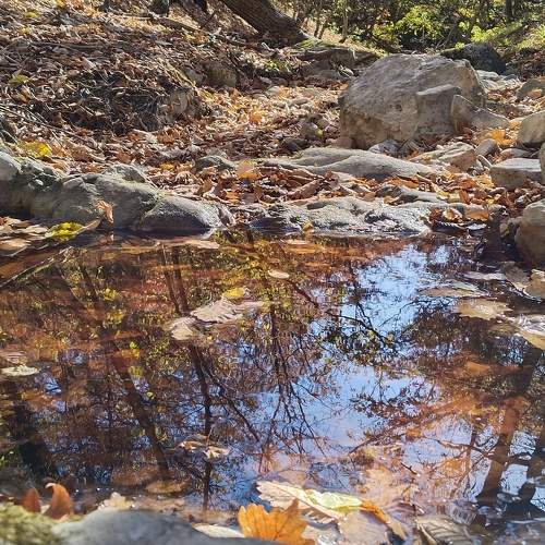 Photo #11213666