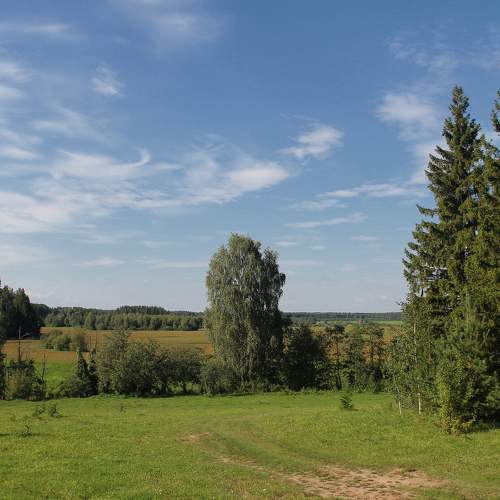 Photo #11213699