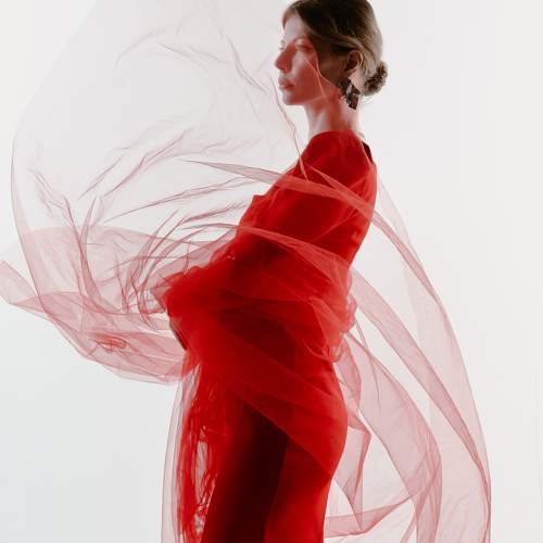 Photo #11213707