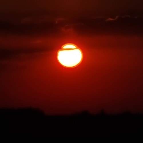 Photo #11213897