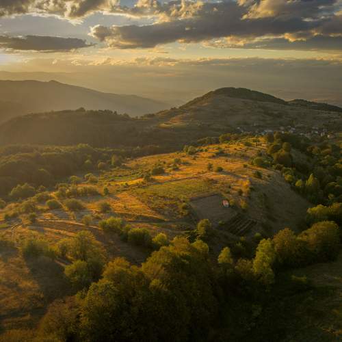 Photo #11214207