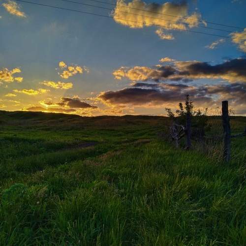 Photo #11214256