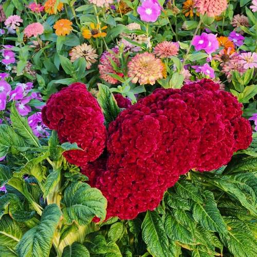 Photo #11214364