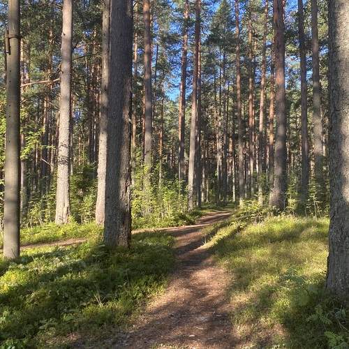 Photo #11214391