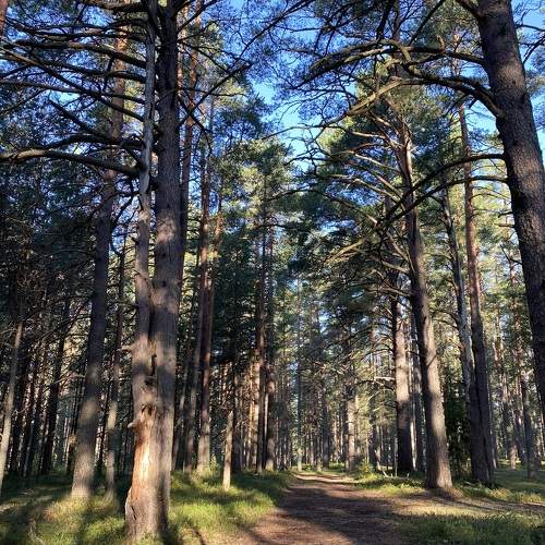 Photo #11214392