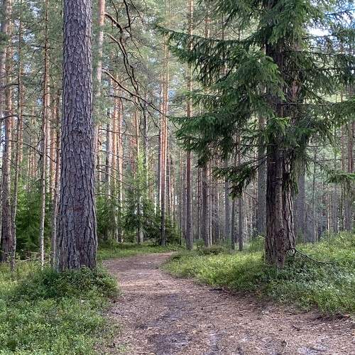 Photo #11214393
