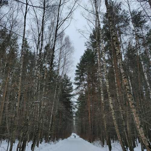 Photo #11214499