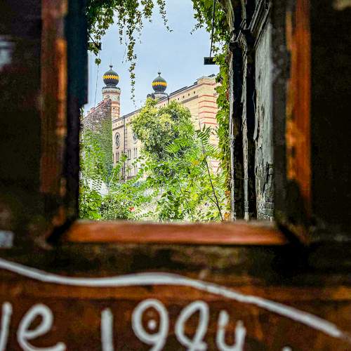 Photo #11214910