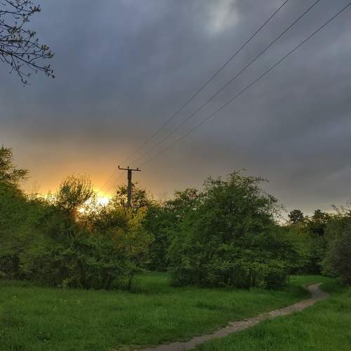 Photo #11215009