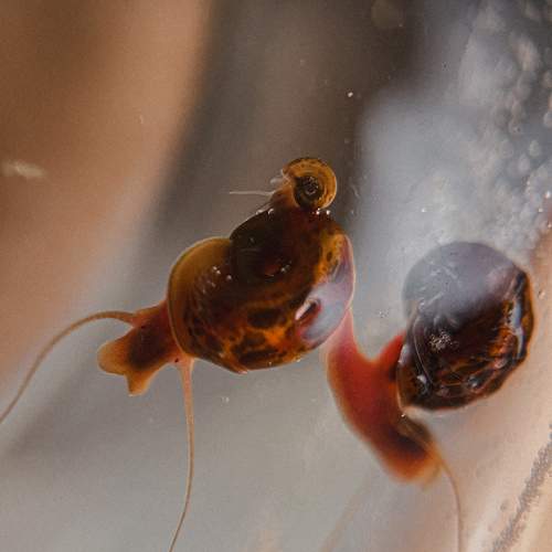 Photo #11215024