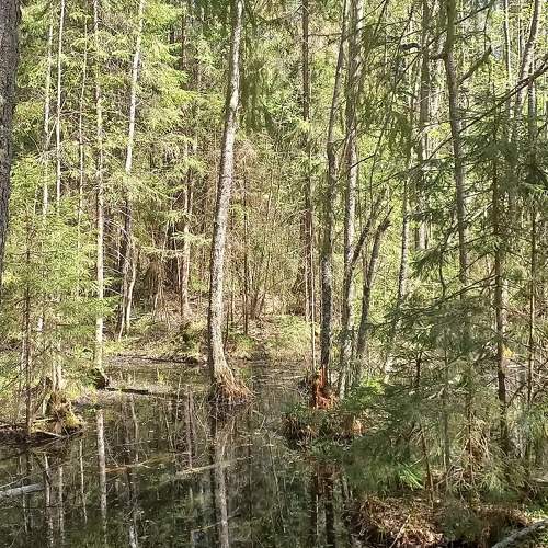 Photo #11215138