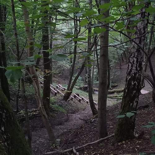 Photo #11215189
