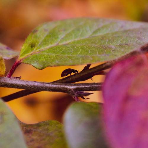 Photo #11215275