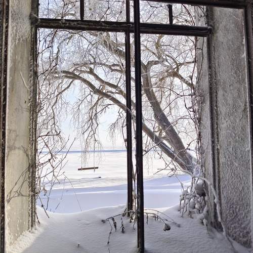 Photo #11215561
