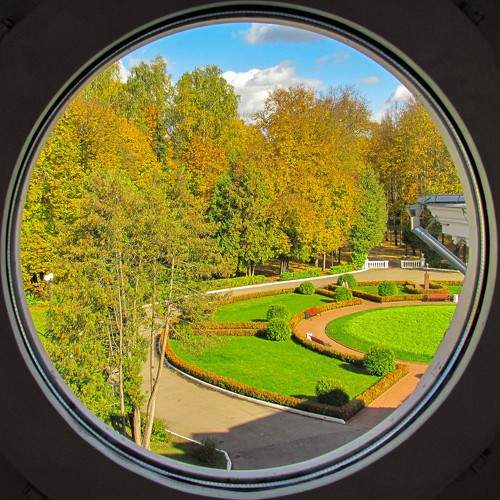 Photo #11215611