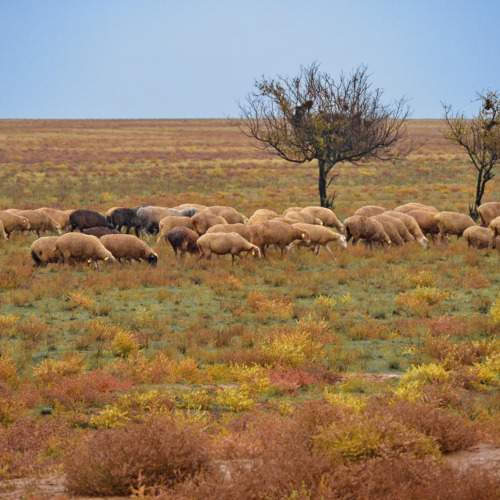 Photo #11215892