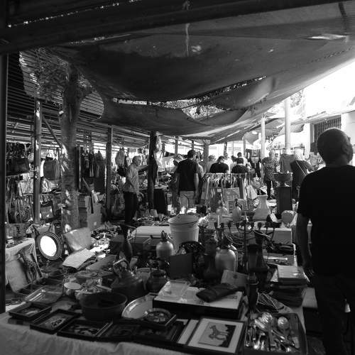 Photo #11215949