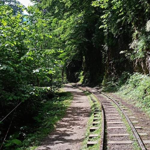 Photo #11216287