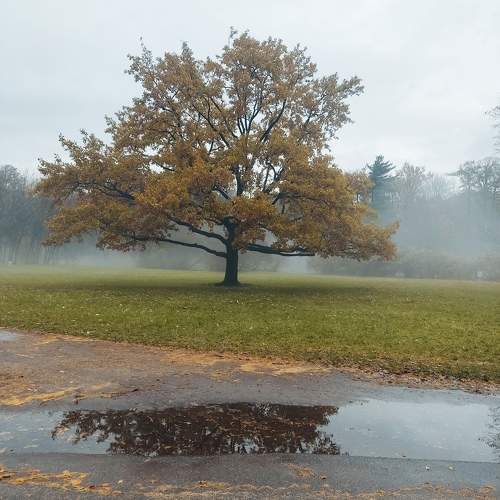 Photo #11216303