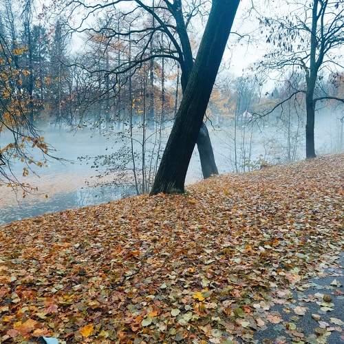 Photo #11216308