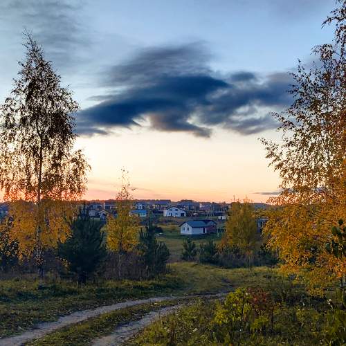 Photo #11216339