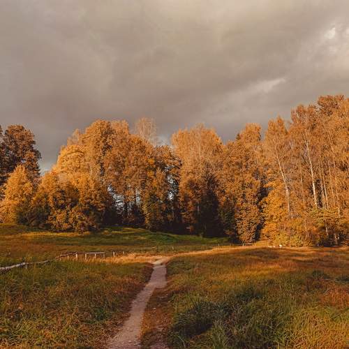 Photo #11216346