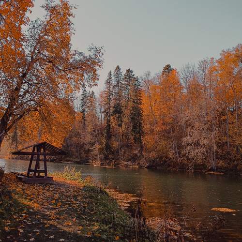 Photo #11216347