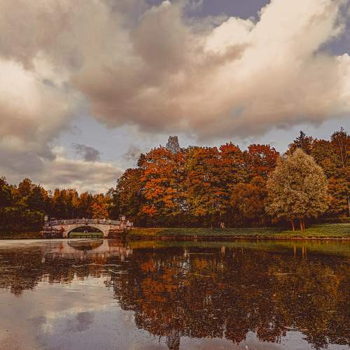 Photo #11216349