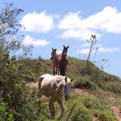 Photo #11216380